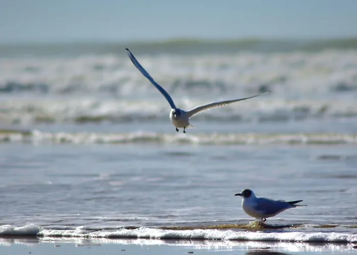 Bords De 생장드몽